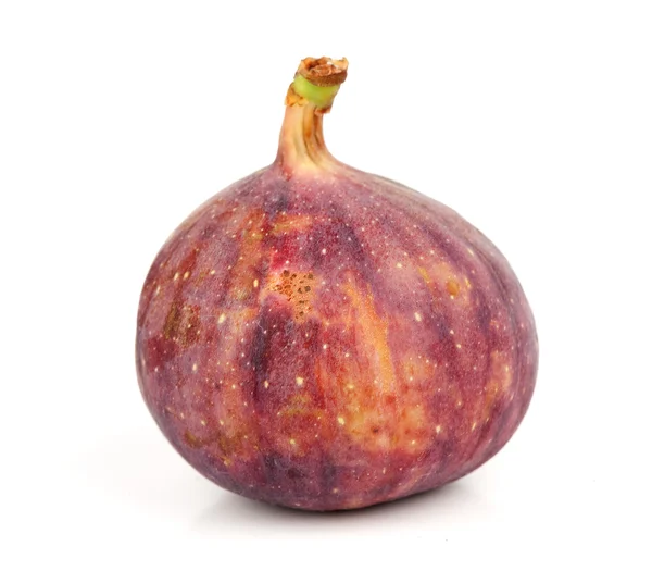 Fruto de figo fresco — Fotografia de Stock