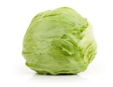 Iceberg Lettuce clipart