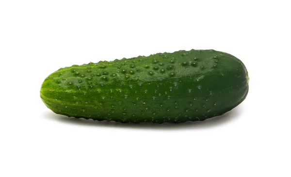 stock image Cucumber