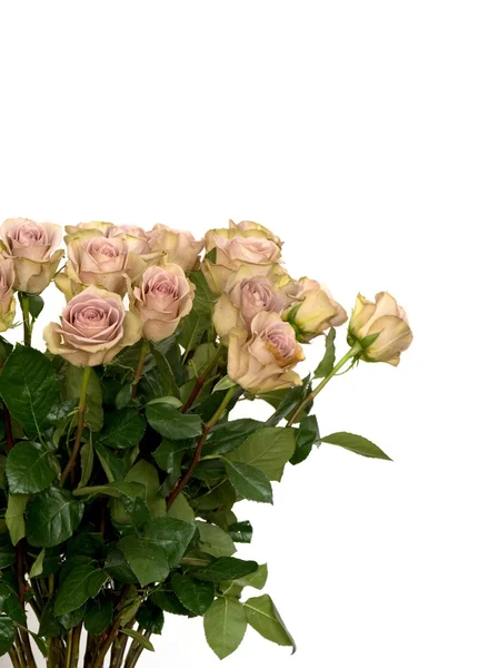 Bouquet de fleurs roses isolé — Photo
