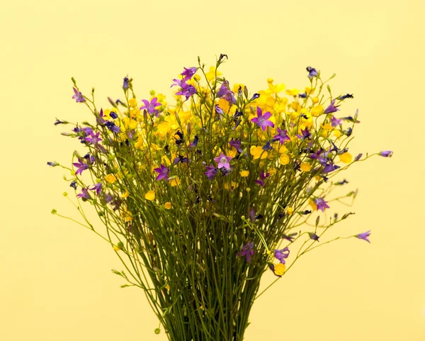 Bouquet of wild colors — Stock Photo, Image