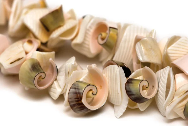 Pärlor från cockleshells på en vit bakgrund — Stockfoto