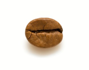 Single coffee bean clipart