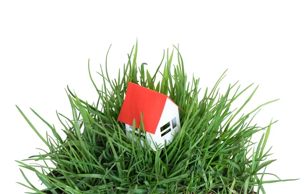 Hus på gräs — Stockfoto