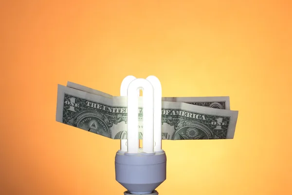 Modern Light Bulb And Money