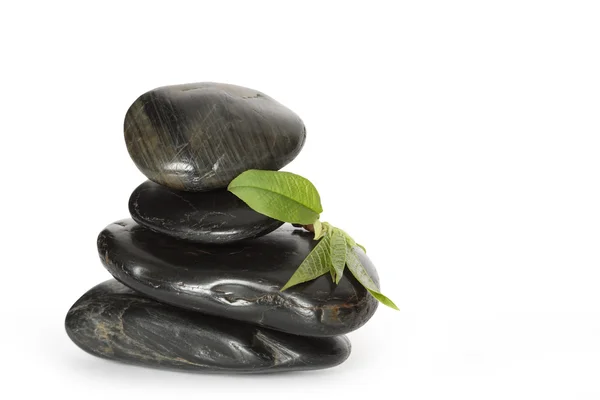 Pedras de equilíbrio e folhas verdes — Fotografia de Stock