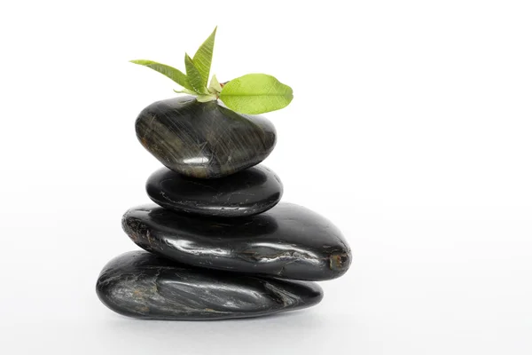 Balancing Stones And Green Leaves Stock Image