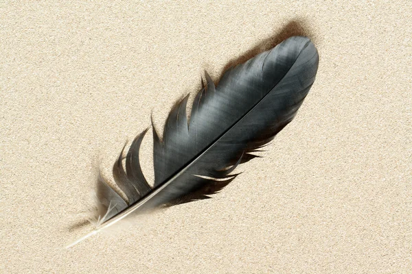 Feather On Sand — Stock Photo, Image
