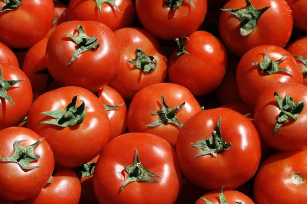 Fondo de tomates frescos —  Fotos de Stock