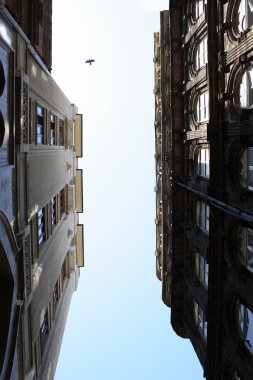 binalar arasında gök