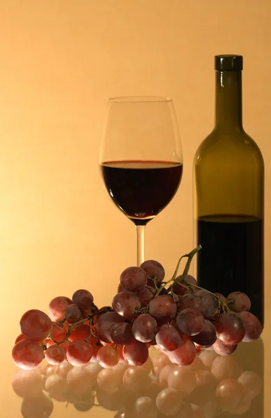 Wein und Trauben — Stockfoto