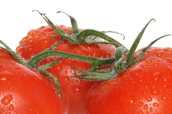 Tomatoes — Stock Photo, Image