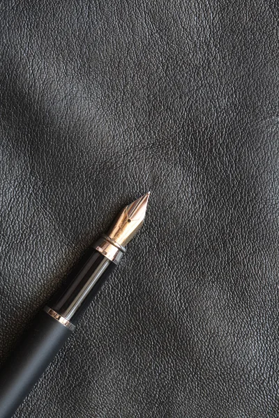 Stift auf Leder — Stockfoto