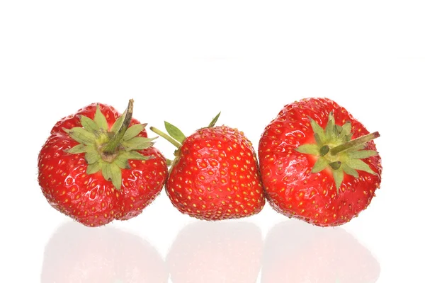 Aardbeien op witte — Stockfoto