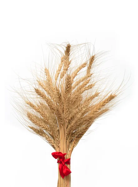 Куча пшеницы — стоковое фото