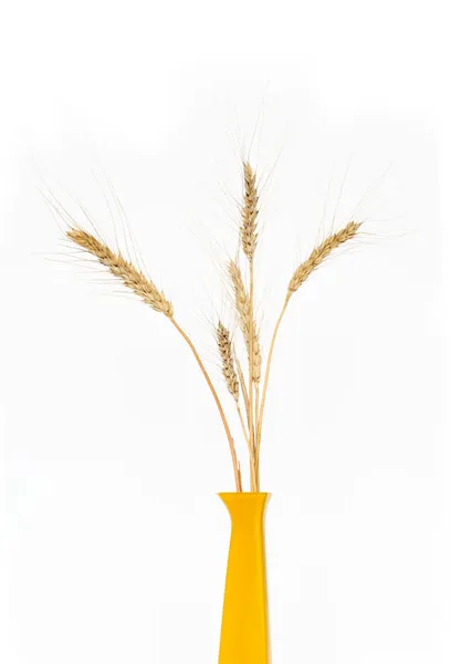 Pšenice v váza — Stock fotografie