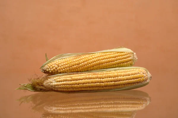 Raw Corn — Stock Photo, Image