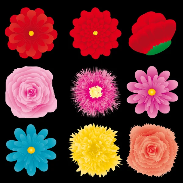 Conjunto de flores, parte 4 — Archivo Imágenes Vectoriales