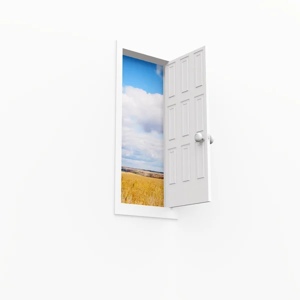 Doors — Stock Photo, Image