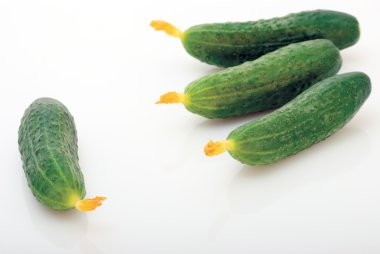 salatalık