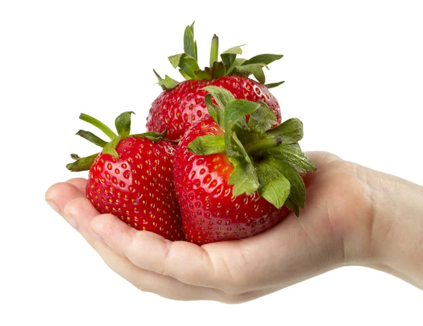 Tre jordgubbar i handen — Stockfoto