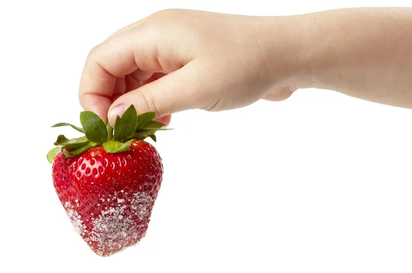 Strawberry in the hand — Stock Photo, Image