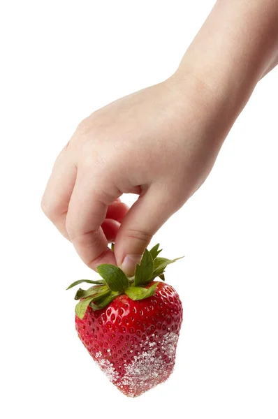 Strawberry in the hand — Stock Photo, Image
