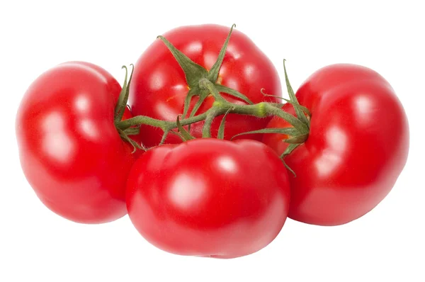 Cuatro tomates —  Fotos de Stock