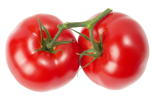 Due pomodori — Foto Stock