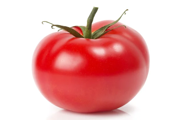 Bir domates — Stok fotoğraf