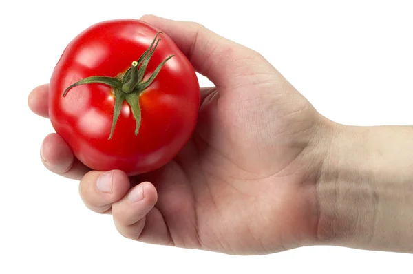 Tengo tomate. —  Fotos de Stock