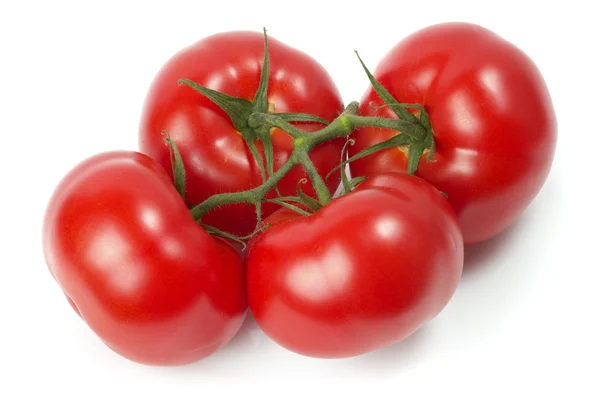 Čtyři rajčata — Stock fotografie