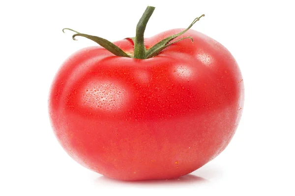 Jeden pomidor — Zdjęcie stockowe