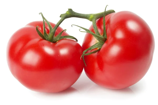 Dois tomates — Fotografia de Stock