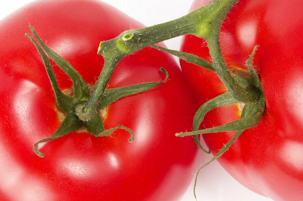 Twee tomaten — Stockfoto