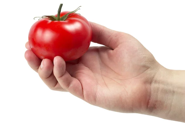 Tengo tomate. —  Fotos de Stock