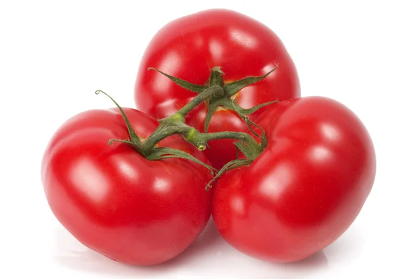 Tři rajčata — Stock fotografie