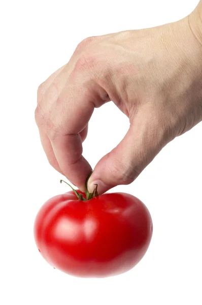 Есть помидор. — стоковое фото
