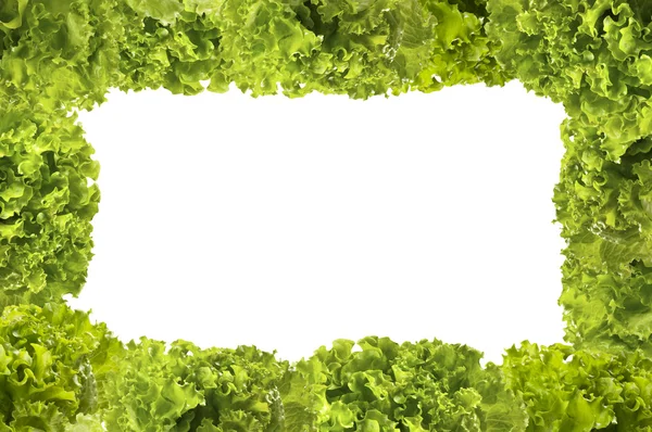 Lettuce bunches frame — Stock Photo, Image