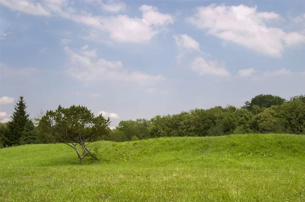 Krajobraz łąka — Zdjęcie stockowe