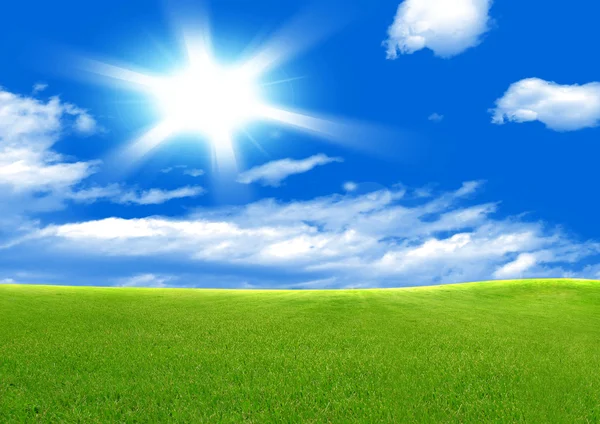 Green field and sun sky — Stock Photo, Image