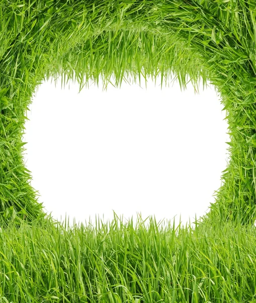 白色背景的绿草 — 图库照片