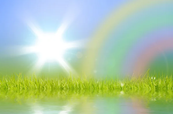 Зеленое поле и солнце небо — стоковое фото