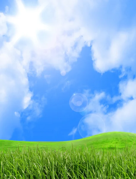 Groen veld en zon hemel — Stockfoto