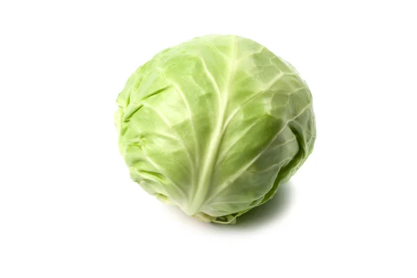 stock image Head of green cabbage