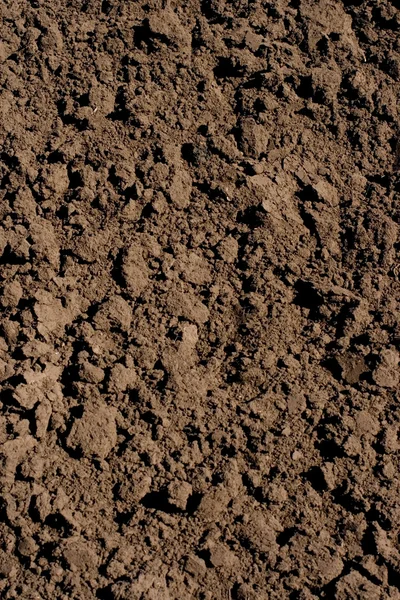 Soil — Stock Photo, Image