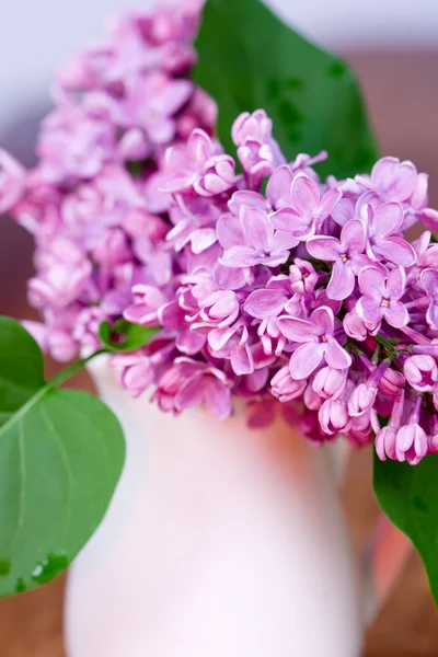 Floraciones de lila — Foto de Stock