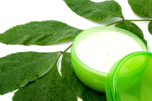 Gezichtscrème met groen blad — Stockfoto
