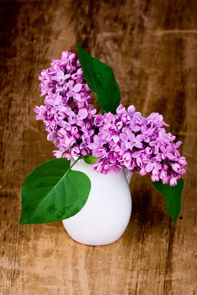 Flores lilás — Fotografia de Stock