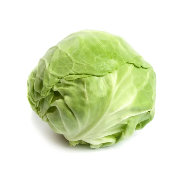 Stock image Green cabbage